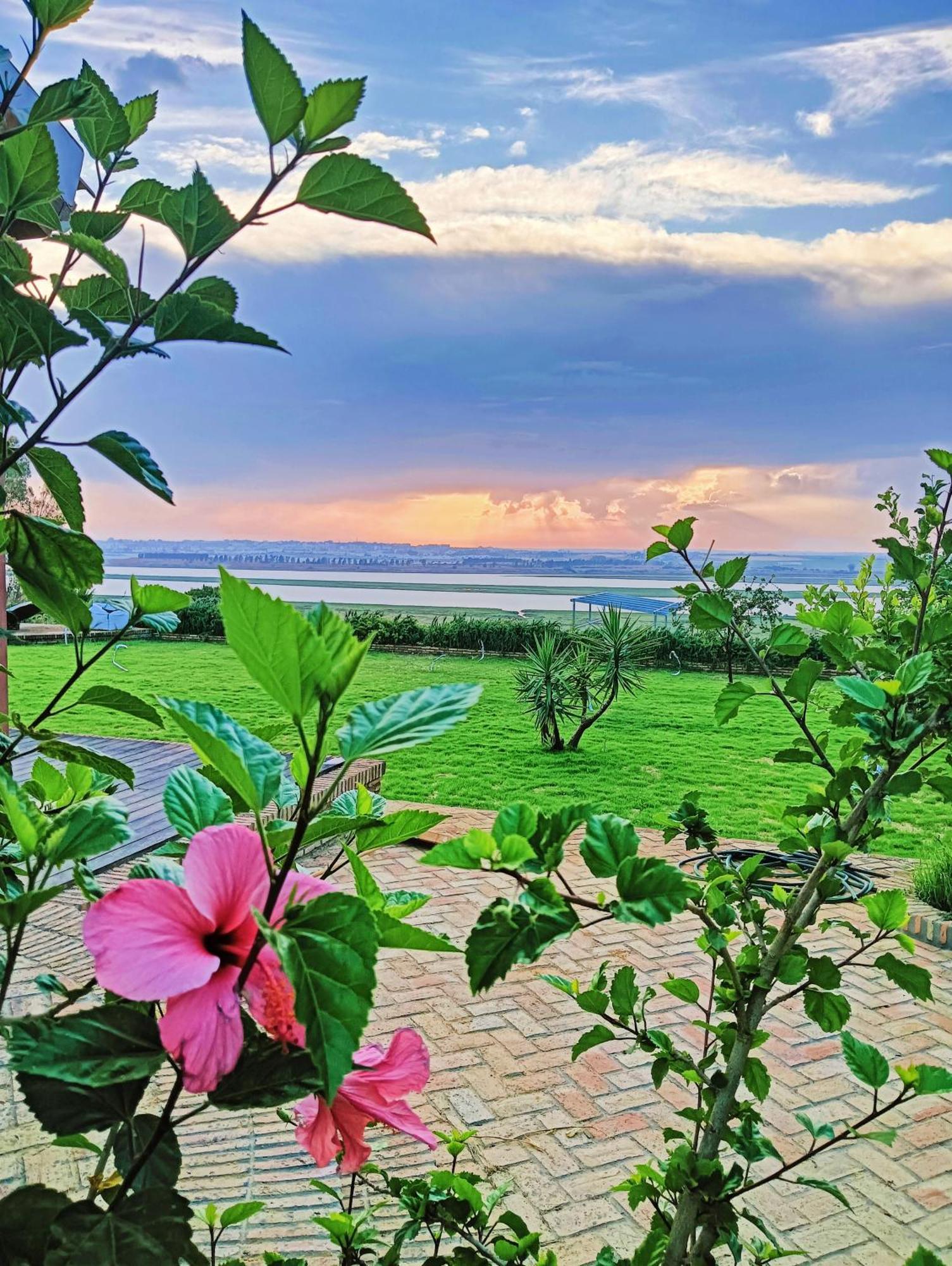 Finca Mis Morenas Palos de la Frontera Kültér fotó